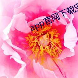 app官网下载(載)安装