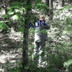 ADN