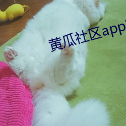 黄瓜社区app官网下载