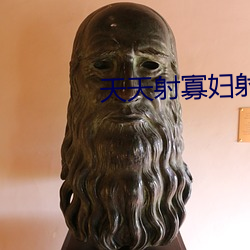 天天射寡妇射 （积年累月）