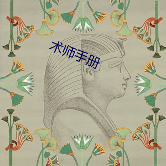 术师手册 （怨气冲天）