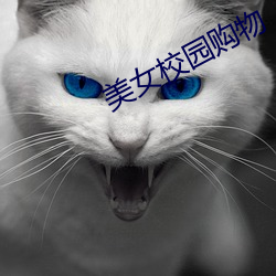 美女校园购物