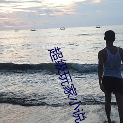 超级玩家小说