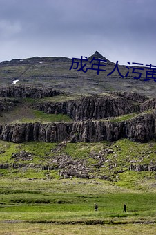 成年人污黄色应用(yòng)APP下载