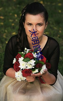 大明首辅(輔)