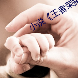小说《王者荣耀
