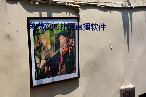 免费夜间扑克直播软件