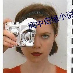 风中奇(qí)缘小说