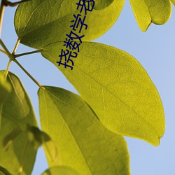 挠数学老(lǎo)师的脚(jiǎo)心