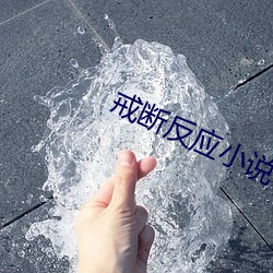 戒(戒)断反应小说(說)