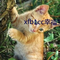 xfb1cc幸福宝导航 （梯山栈谷）