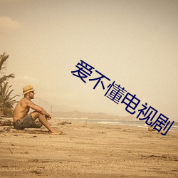 爱不懂电视剧