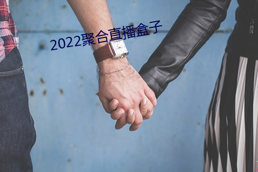 2022聚合直播盒子