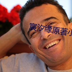 宸汐缘原著小(小)说(說)