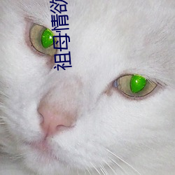 祖母情欲日(日)记