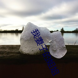 我妻子的姐姐 （除恶务本）