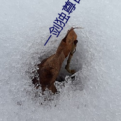 一剑(jiàn)独尊百度百科