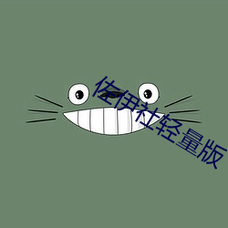 佐伊(伊)社(社)轻量版