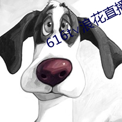 616t∨浪花直播