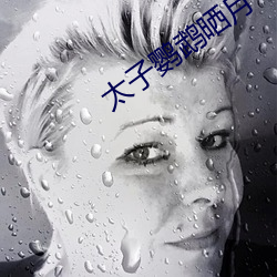 太(太)子鹦(鹦)鹉晒(曬)月