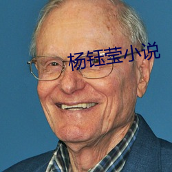 楊钰瑩小說