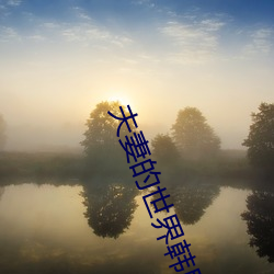 夫妻的世界韩剧