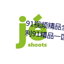 91視頻精品全國免費觀看國産福利91精品一區二區