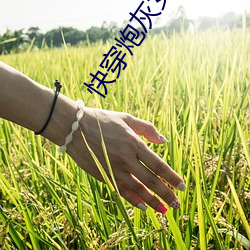 快(快)穿炮灰女配(配)