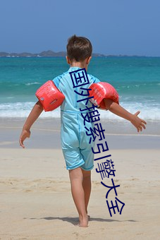 国外搜(搜)索引擎大全(全)