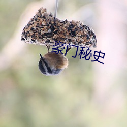 豪門秘史