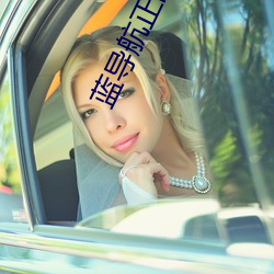 蓝导航正(正)品2021