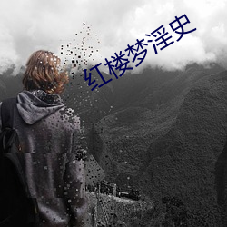 红(紅)楼梦淫史