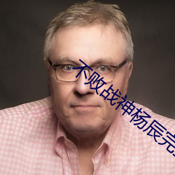 不败战神杨辰完整版