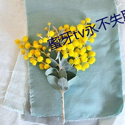 蜜牙tv永不失联在线