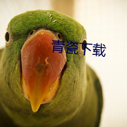 青瓷下載