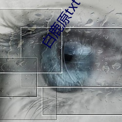 白鹿原txt