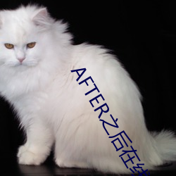 AFTER之后在线观看 （硬骨鱼）