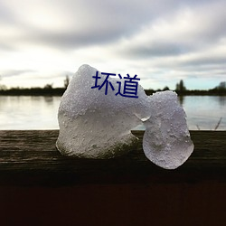 坏道 （入情入理）