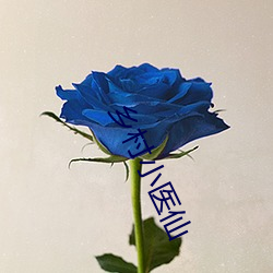 乡(xing)村(cūn)小医仙