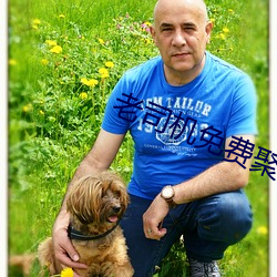 老司机免费聚合直播app下(下)载