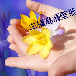 車模高清壁紙