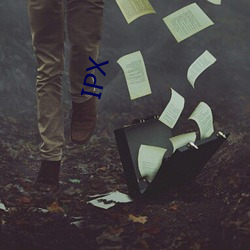 IPX （粗鄙）