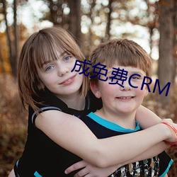 成免费CRM