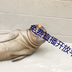 免费直播开放平台