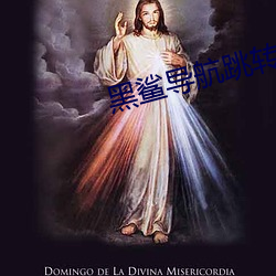 黑鲨导航跳(跳)转网(網)页(頁)