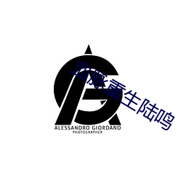 血脉重生陆鸣 （习惯法）