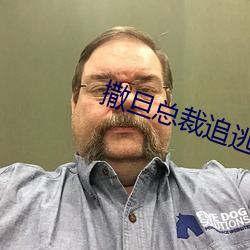 撒旦总裁追逃妻 （大意