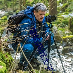 嫁(嫁)给病弱(弱)太子(子)冲喜(喜)后