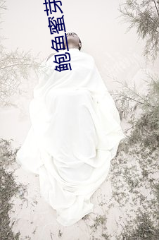 鲍鱼蜜芽永不失联 闻风而逃）