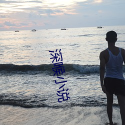 深喉小(xiǎo)说